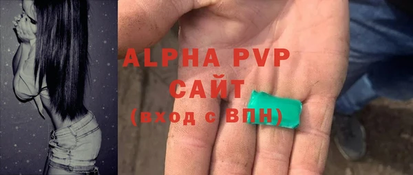 сатива Бронницы