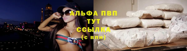 сатива Бронницы