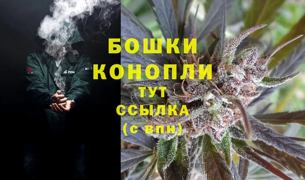 трава Бородино