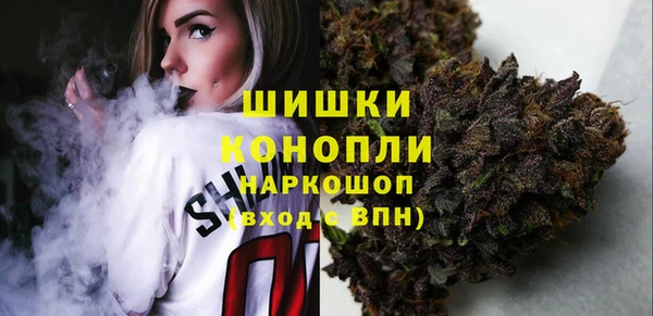 трава Бородино