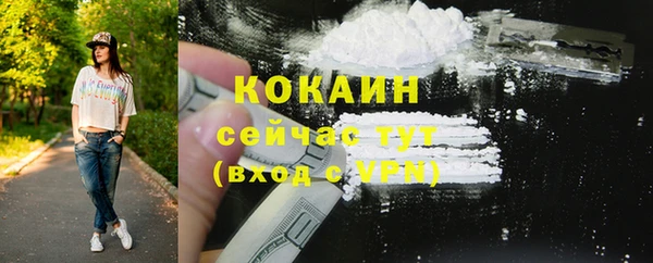 сатива Бронницы
