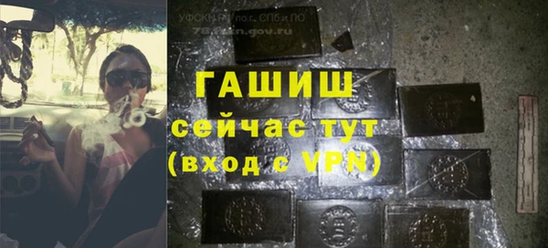 сатива Бронницы