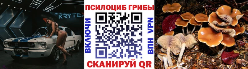 Псилоцибиновые грибы MAGIC MUSHROOMS  Волчанск 